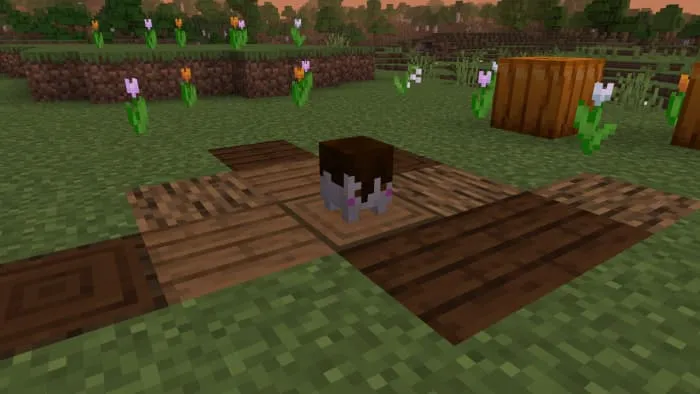 Шоколадный зефир