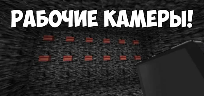 Система рабочих камер