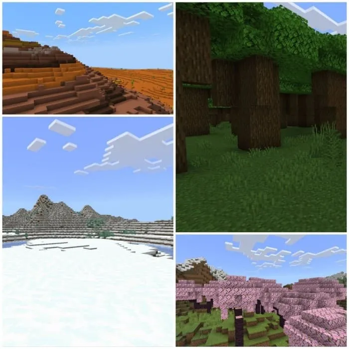 Разнообразие биомов