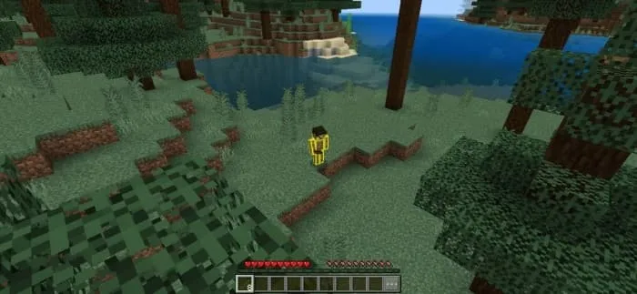 1 тип изометрической камеры