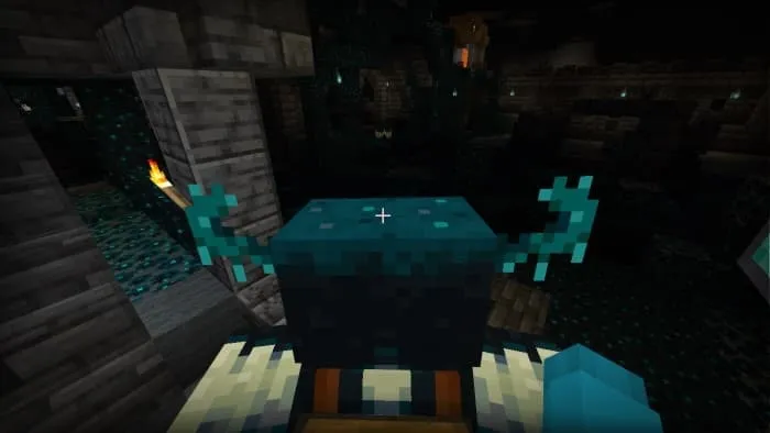 Игрок верхом на Вардене