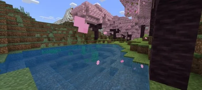 Вишнёвый лес с другого ракурса