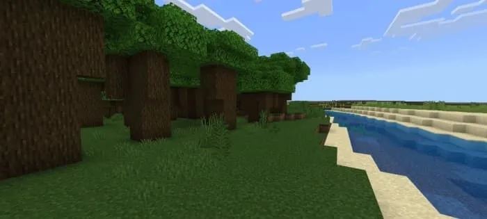 Лес из тёмного дуба