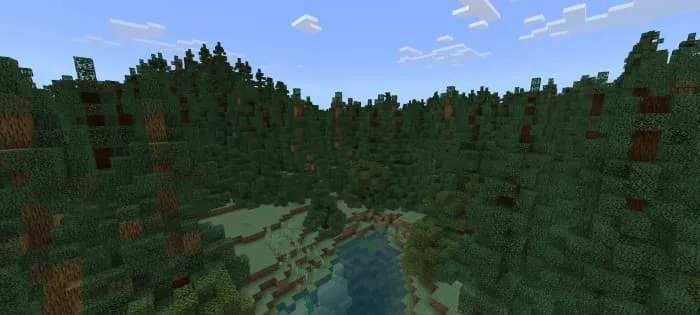 Таёжный лес