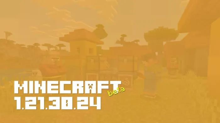 Minecraft 1.21.30.24