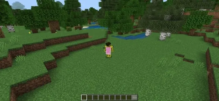 3 тип диметрической камеры