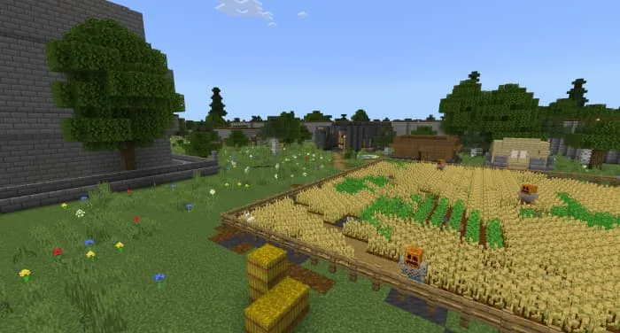 Поля пшеницы возле замка