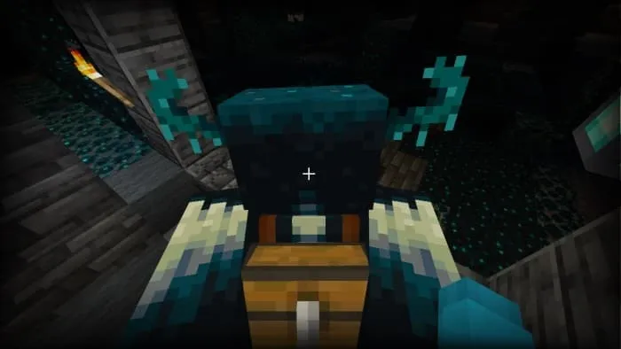 Сундук стража питомца