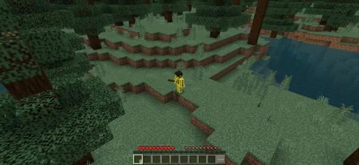 2 тип изометрической камеры