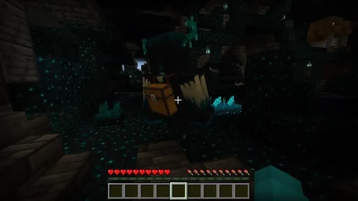 Варден-питомец с сундуком