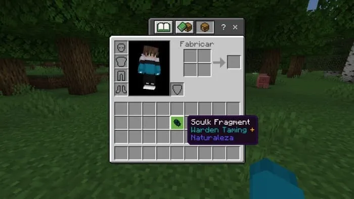 Скалковый фрагмент в инвентаре