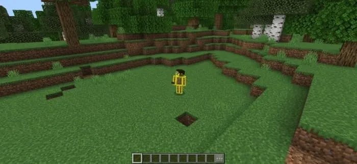 1 тип диметрической камеры