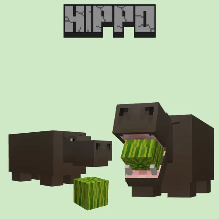 Животное: Бегемот