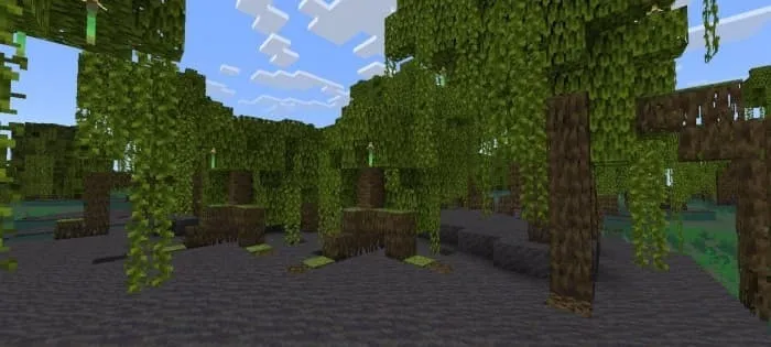 Мангровое болото