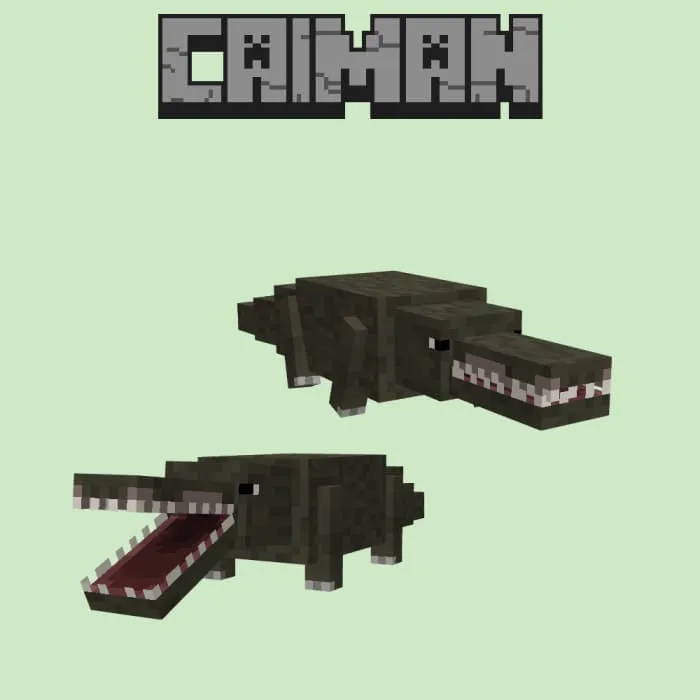 Животное: Кайман