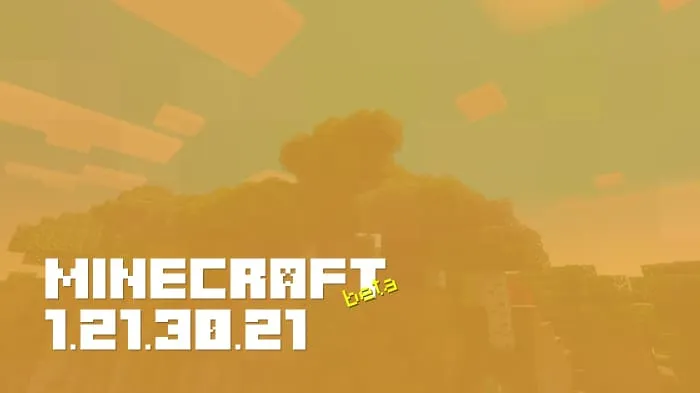 Minecraft 1.21.30.21