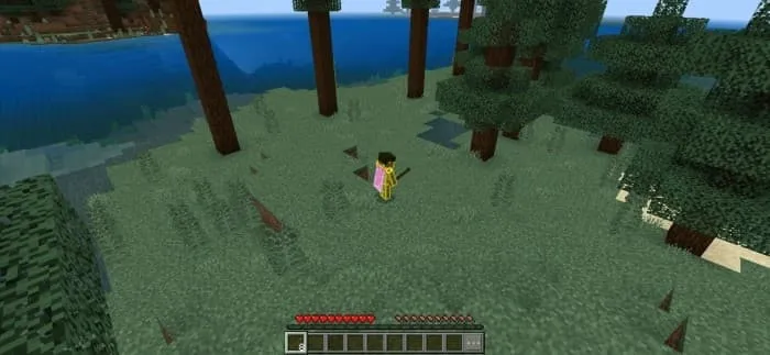 4 тип изометрической камеры