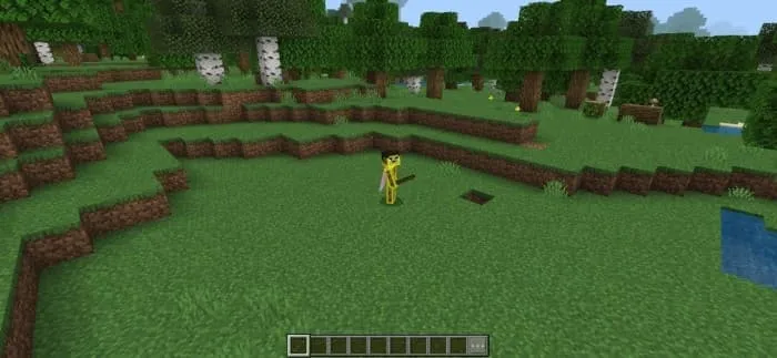 4 тип диметрической камеры