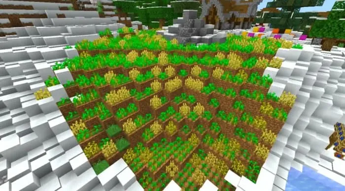 Ферма пшеницы