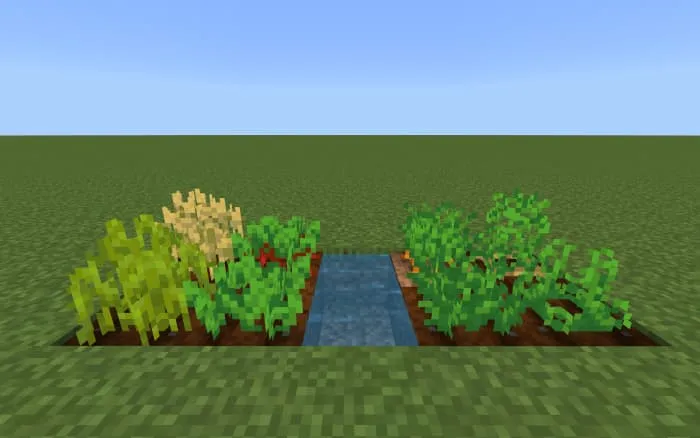 Новый вид урожая