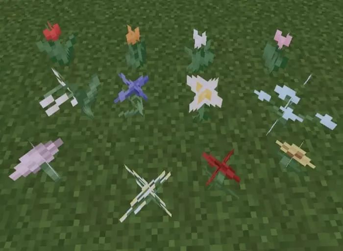 Новый вид цветов