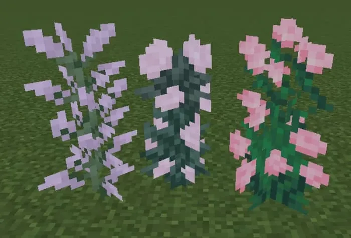 Новый вид больших цветов