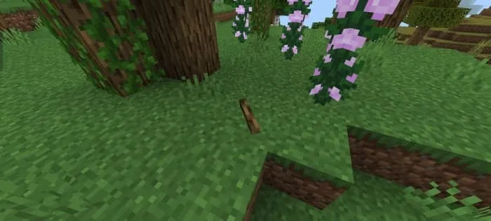 Одиночная палка на земле