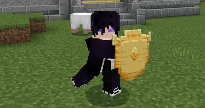 Игрок с щитом босса