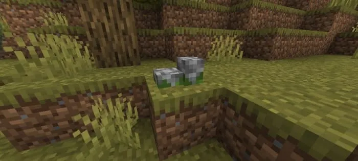 Камушек в биоме