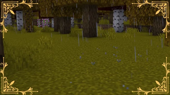 Осенний дождь