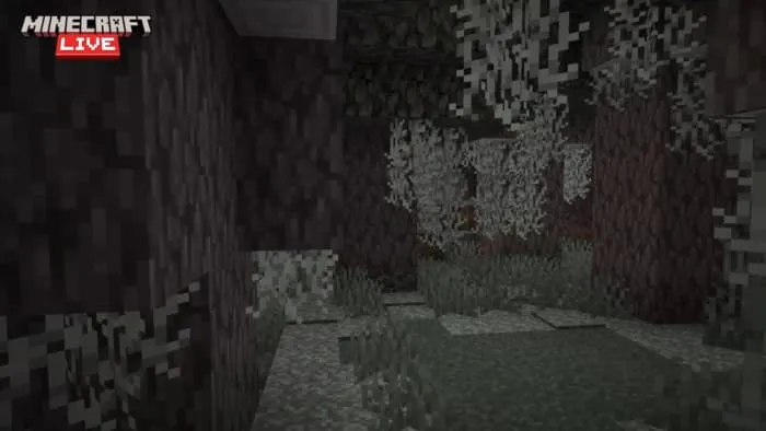 Бледные деревья в саду