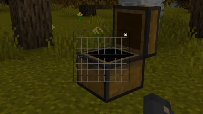 Прозрачный инвентарь сундука