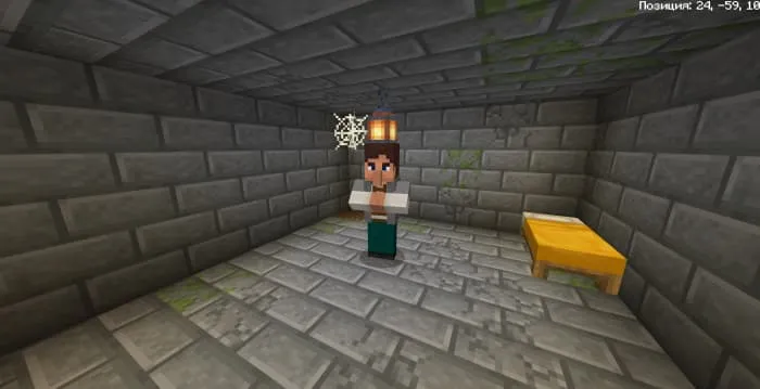 Заключенный в камере