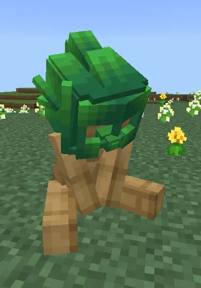 Новый вид черепашьего шлема