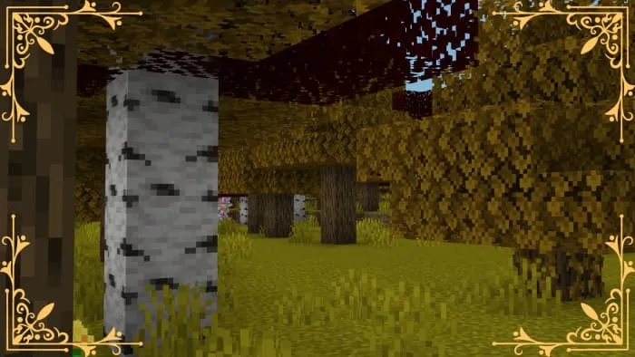 Желтая листва березы