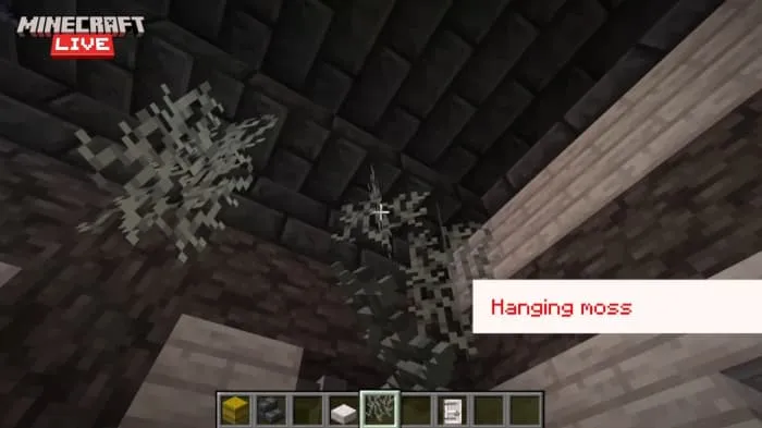 Блоки свисающего моха