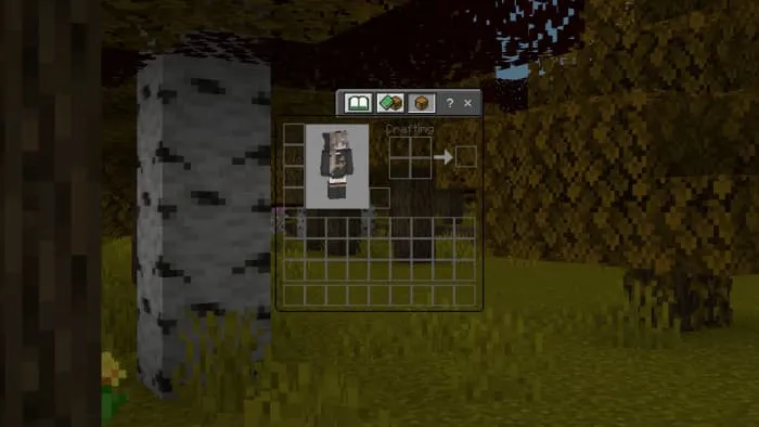 Прозрачный инвентарь игрока