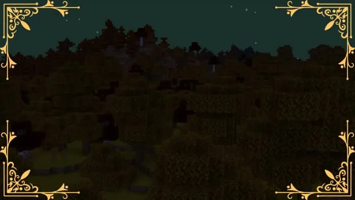 Вид леса ночью