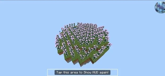 Остров с пионами