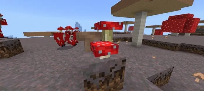 Колония красных грибов