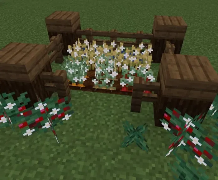 Новый вид урожая