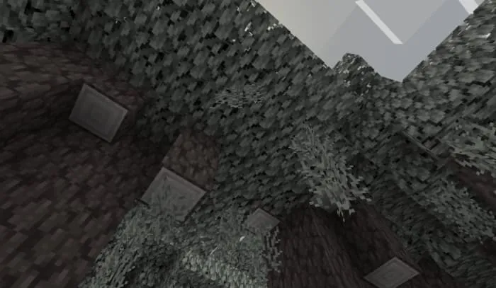 Свисающий мох с дерева