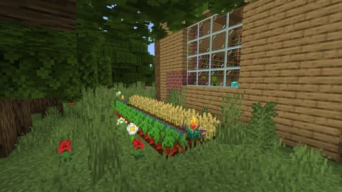 Ферма из грядок рядом с домом