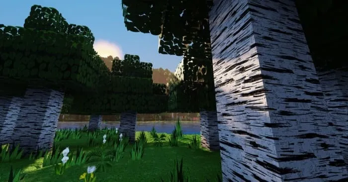 Освещение и тени в лесу