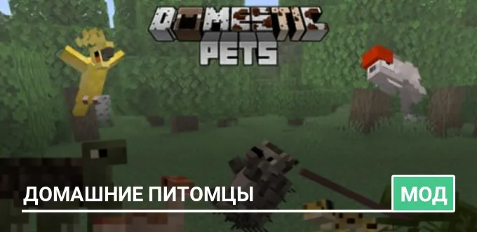 Мод: Домашние питомцы