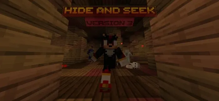 Скин игрока на карте пряток