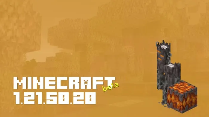 Minecraft 1.21.50.20