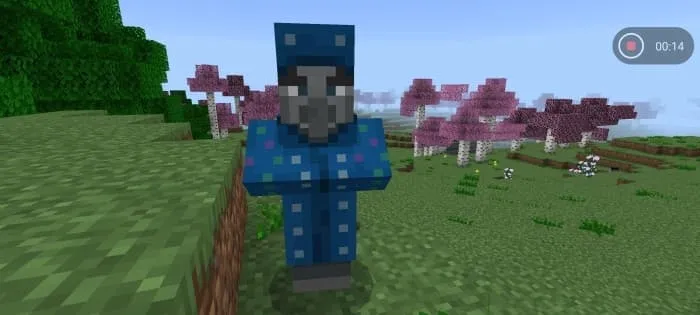 Волшебник в биоме