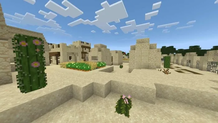 Песчаная деревня