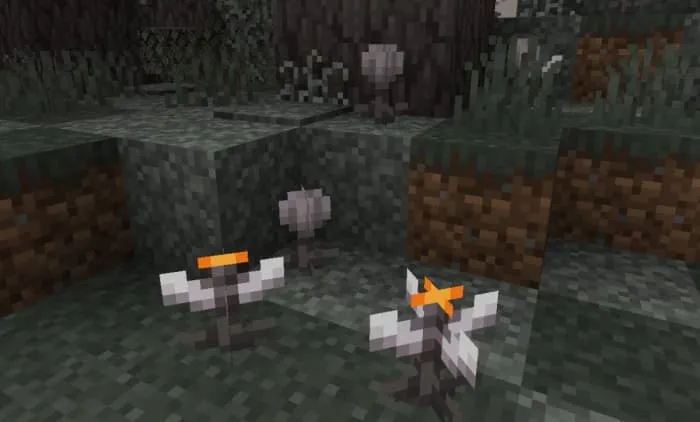 Новые цветы в Бледном саду